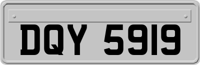DQY5919