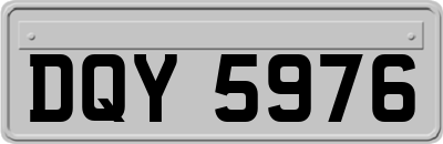 DQY5976