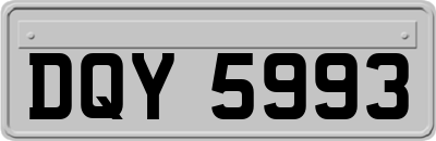 DQY5993