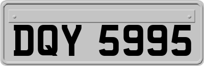 DQY5995