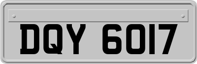 DQY6017