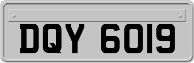 DQY6019