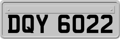 DQY6022