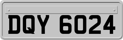 DQY6024