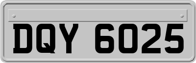 DQY6025