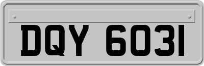 DQY6031