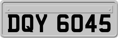 DQY6045
