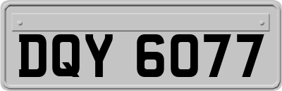 DQY6077