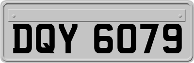 DQY6079