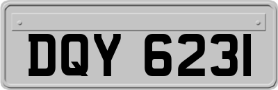 DQY6231