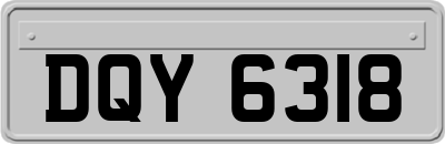 DQY6318