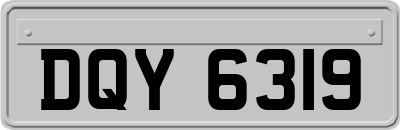 DQY6319