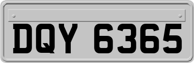 DQY6365