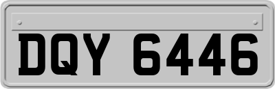 DQY6446