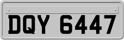 DQY6447