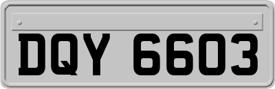 DQY6603