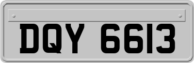 DQY6613
