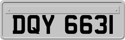 DQY6631