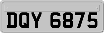 DQY6875