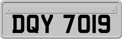 DQY7019