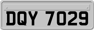 DQY7029