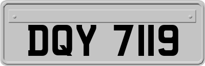 DQY7119