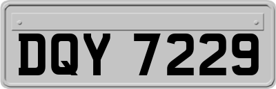 DQY7229