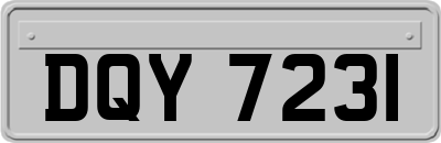 DQY7231