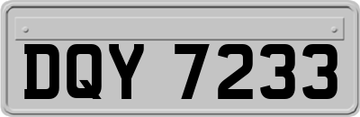 DQY7233