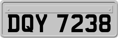 DQY7238