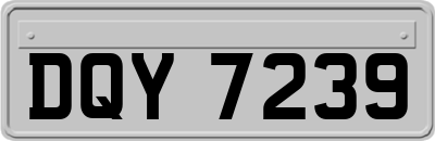 DQY7239