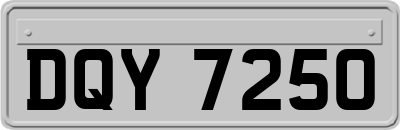 DQY7250