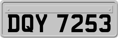 DQY7253