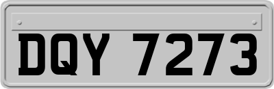 DQY7273