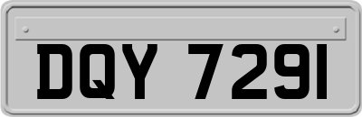 DQY7291