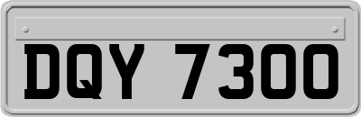 DQY7300