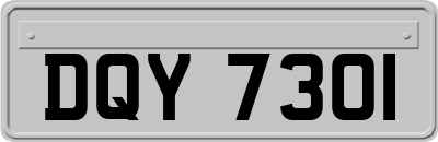 DQY7301