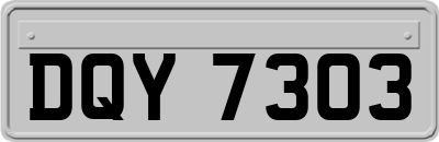 DQY7303