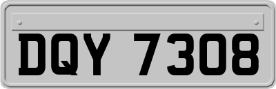 DQY7308