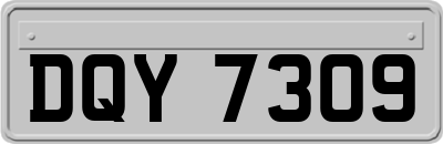 DQY7309