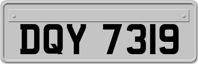 DQY7319
