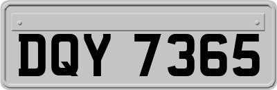 DQY7365