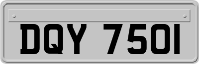 DQY7501