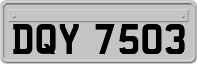 DQY7503