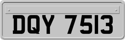DQY7513