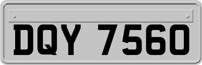 DQY7560