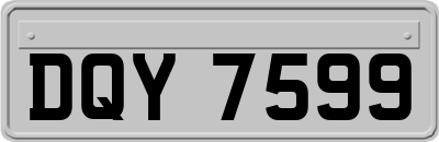 DQY7599