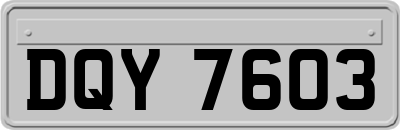 DQY7603