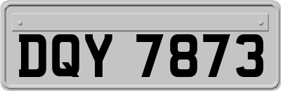 DQY7873