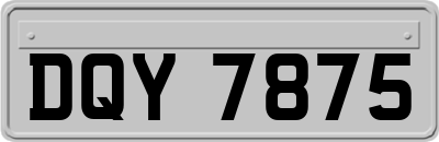 DQY7875